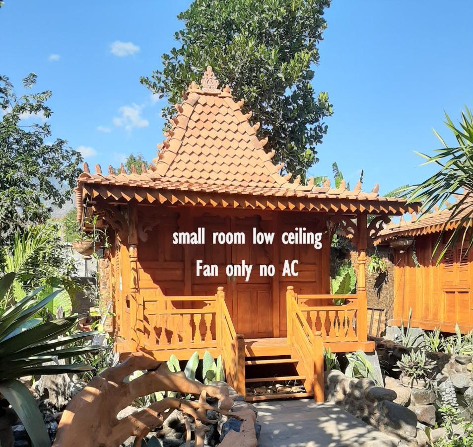 Hibiscus House Pemuteran Bali Hotel Eksteriør billede